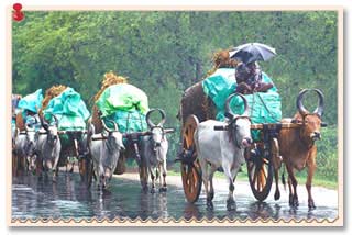 Chennai Weather